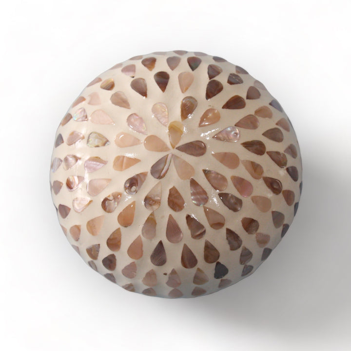 Raindrops Seashell Coconut Bowl (500ml)