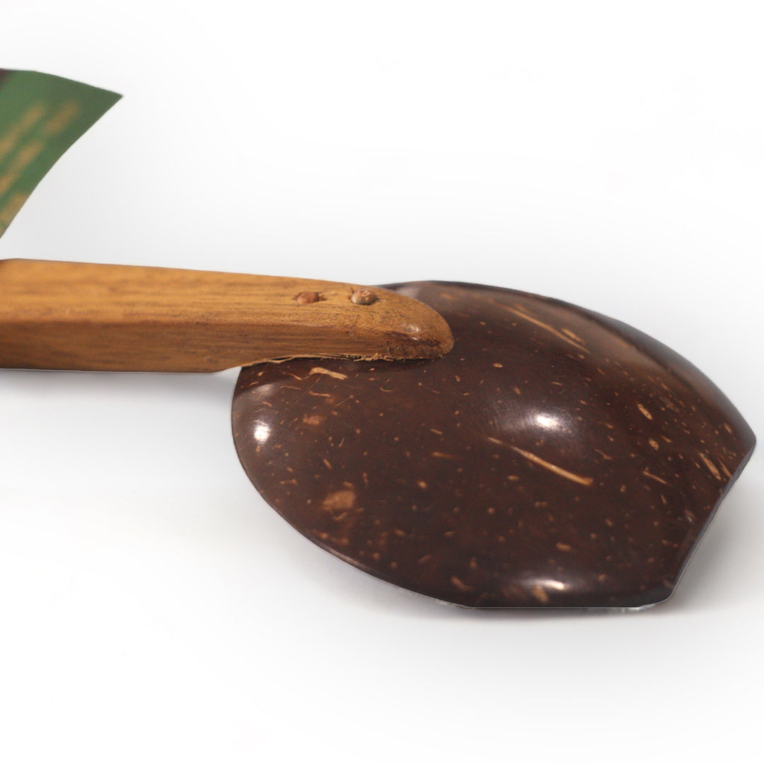 Large Serving Coconut Shell Ladle With Mahogany Wood Handle