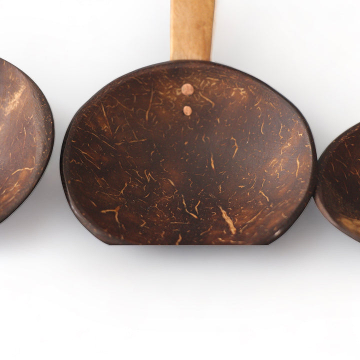 Small Serving Coconut Shell Ladle With Mahogany Wood Handle