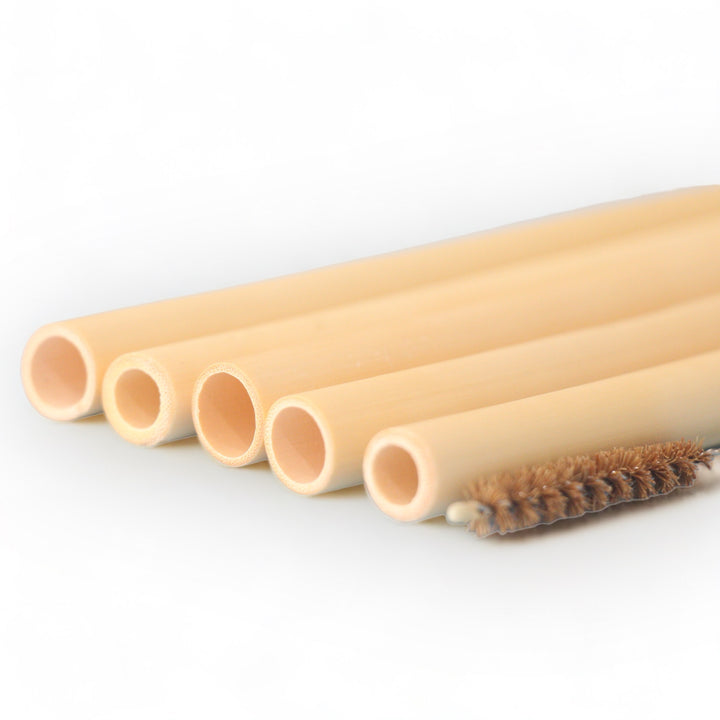 Set of 5 Reusable Bamboo Straws with Cleaner